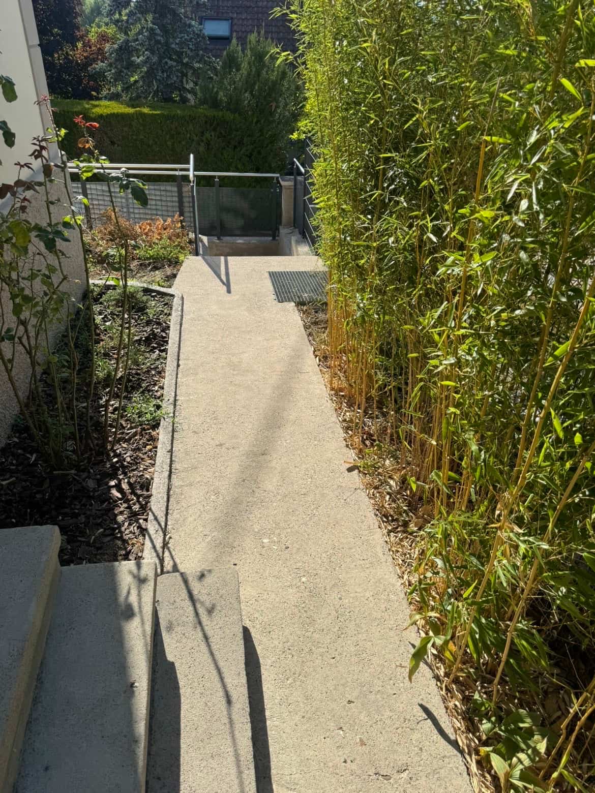 Allée en béton nette bordée de bambous après nettoyage — entretien d’extérieurs à Mulhouse